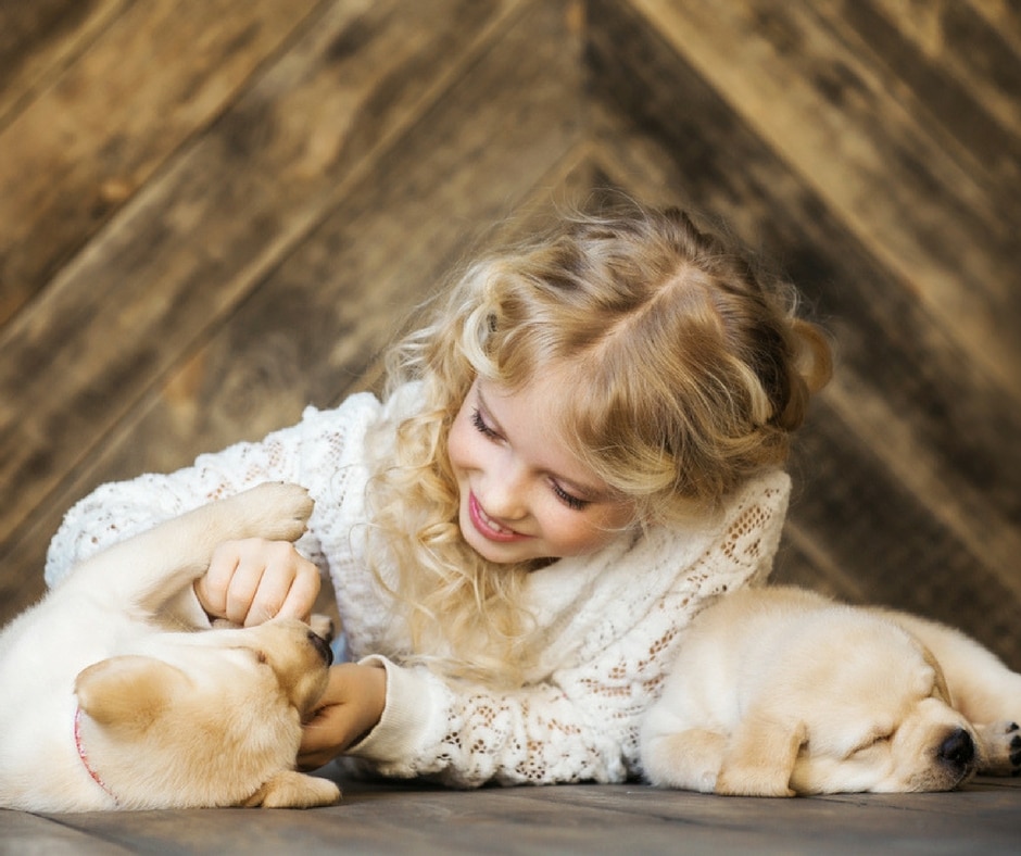 clean hardwood floors safe for kids and pets