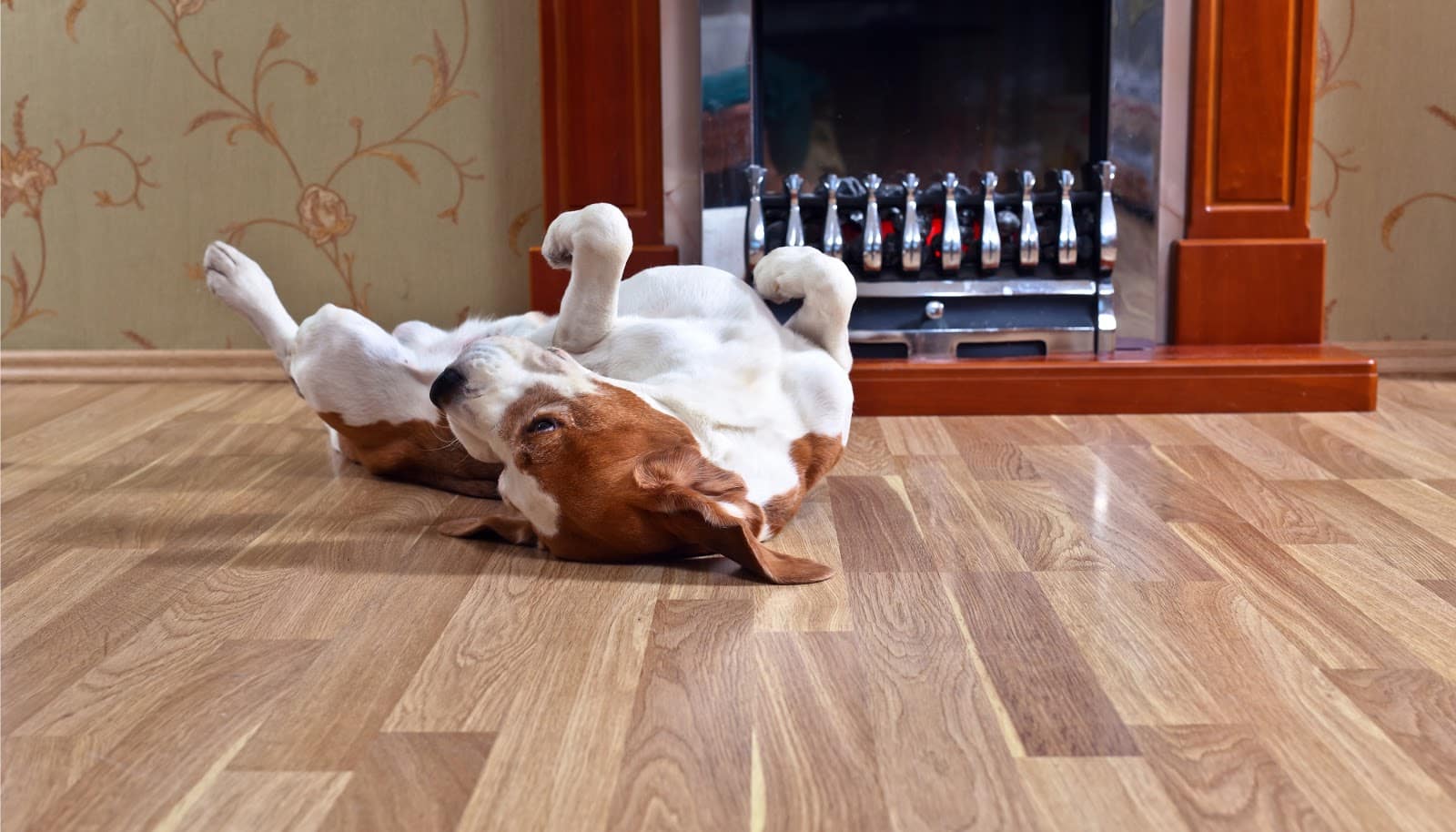 Refinish Hardwood Floors