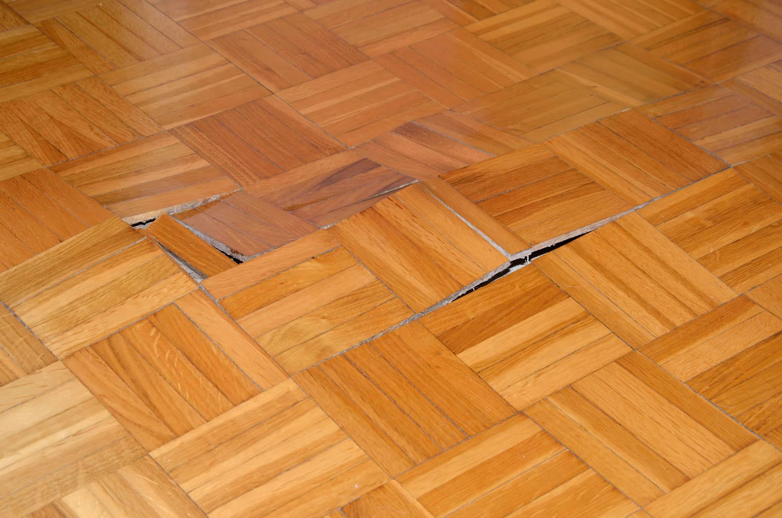 water damaged hardwood