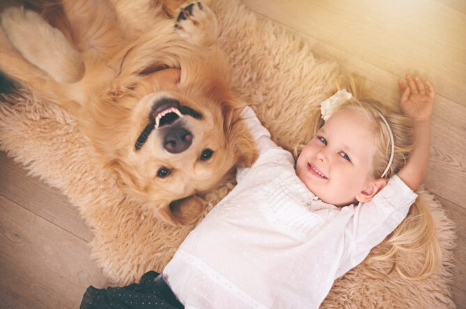 Hardwood floors, Kansas City, SVB Wood Floors, scratches on wood floors, 2025
