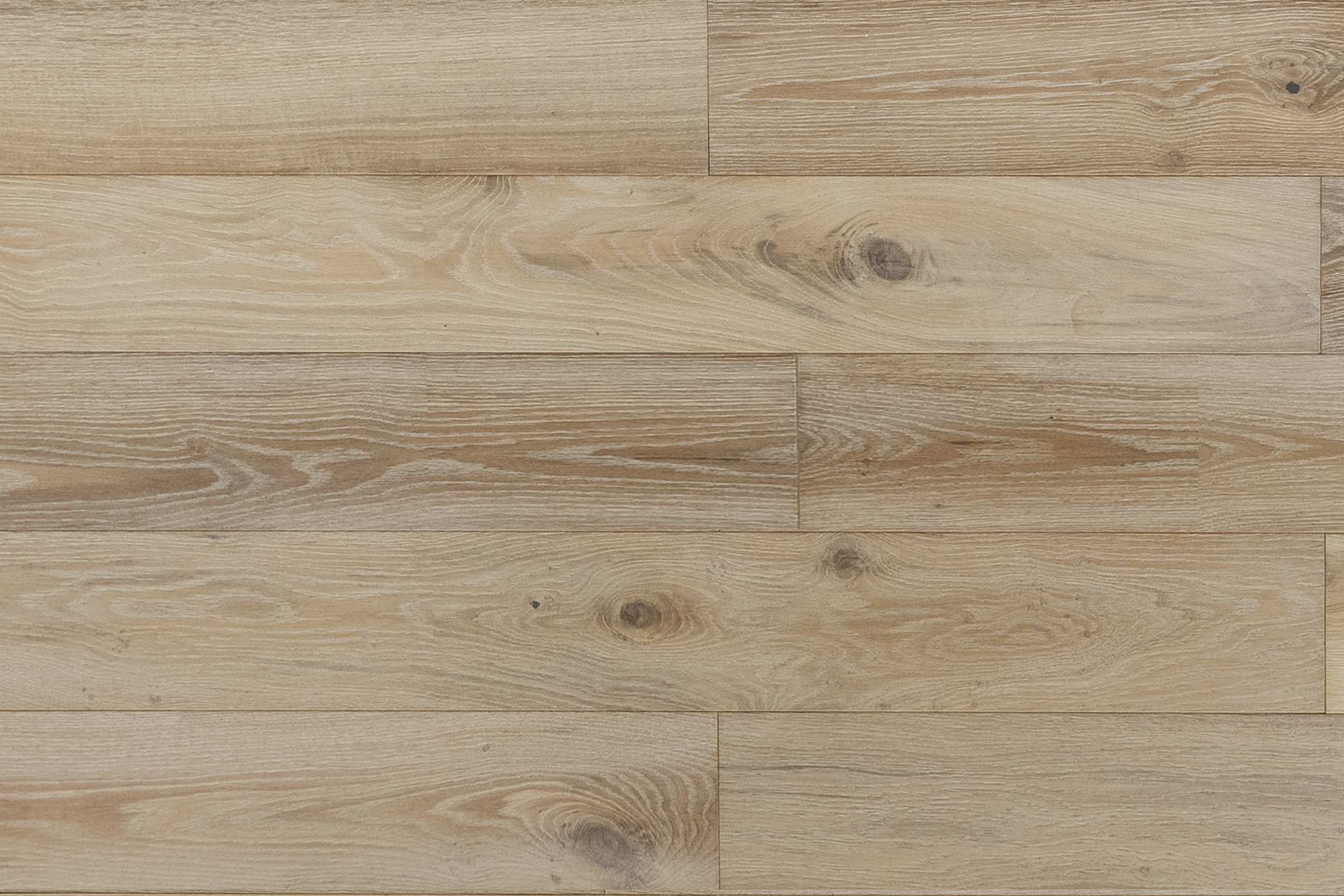 Coastal Line Cambria European Oak hardwood flooring swatch featuring light, natural wood tones and visible grain patterns, ideal for stylish interior design.